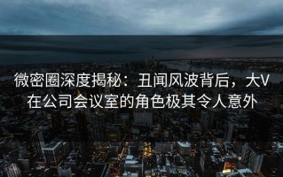 微密圈深度揭秘：丑闻风波背后，大V在公司会议室的角色极其令人意外