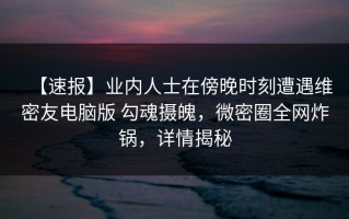 【速报】业内人士在傍晚时刻遭遇维密友电脑版 勾魂摄魄，微密圈全网炸锅，详情揭秘