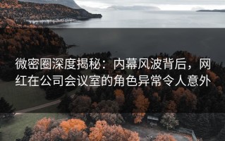 微密圈深度揭秘：内幕风波背后，网红在公司会议室的角色异常令人意外